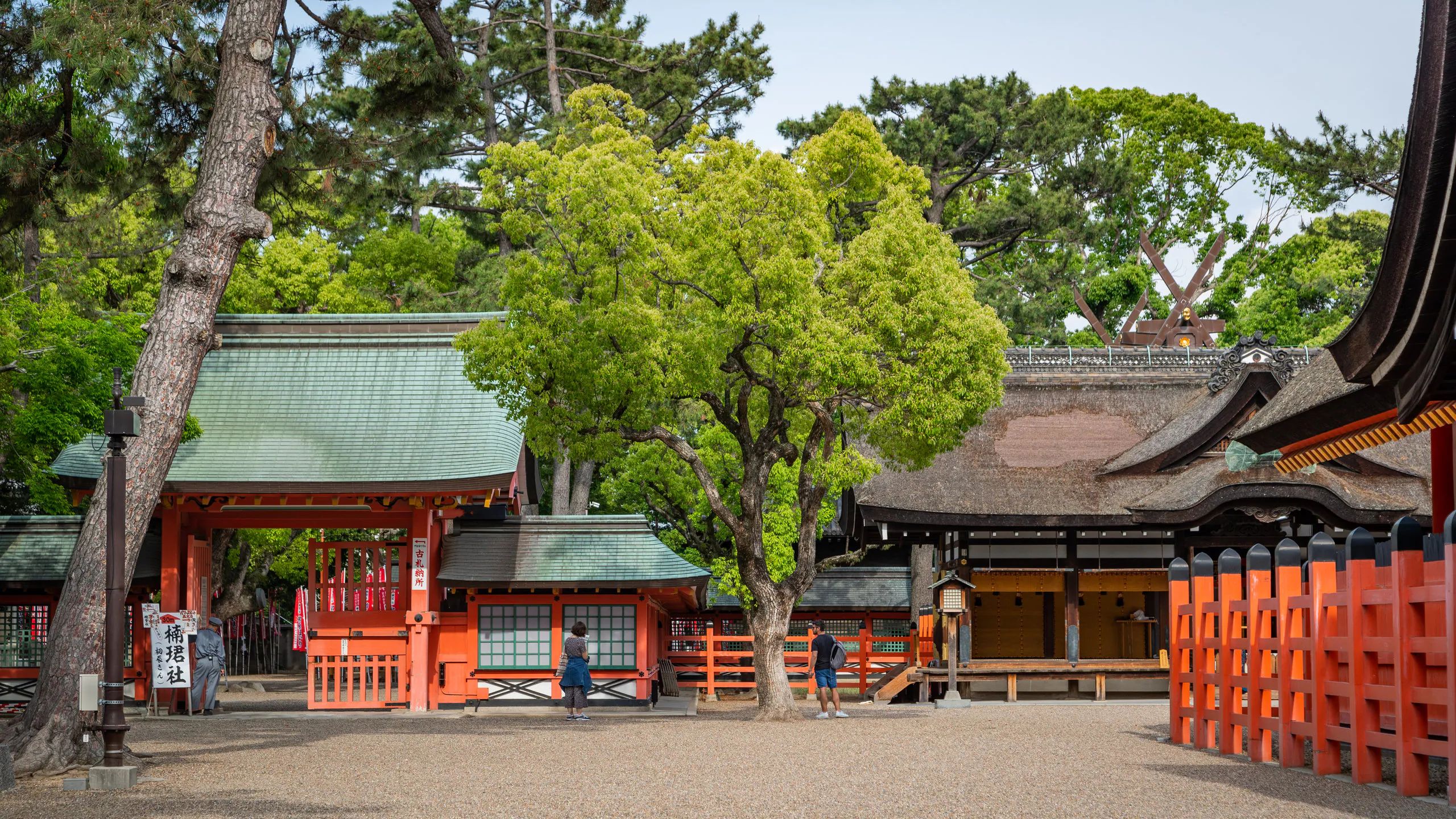 ⛩️ 스미요시 대사 이미지 1